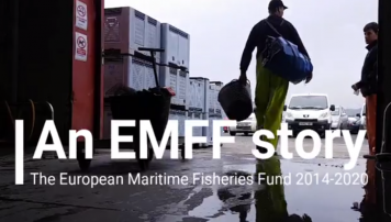 A marca pescadeRías, ¿de onde se non? recoñecida pola Comisión Europea