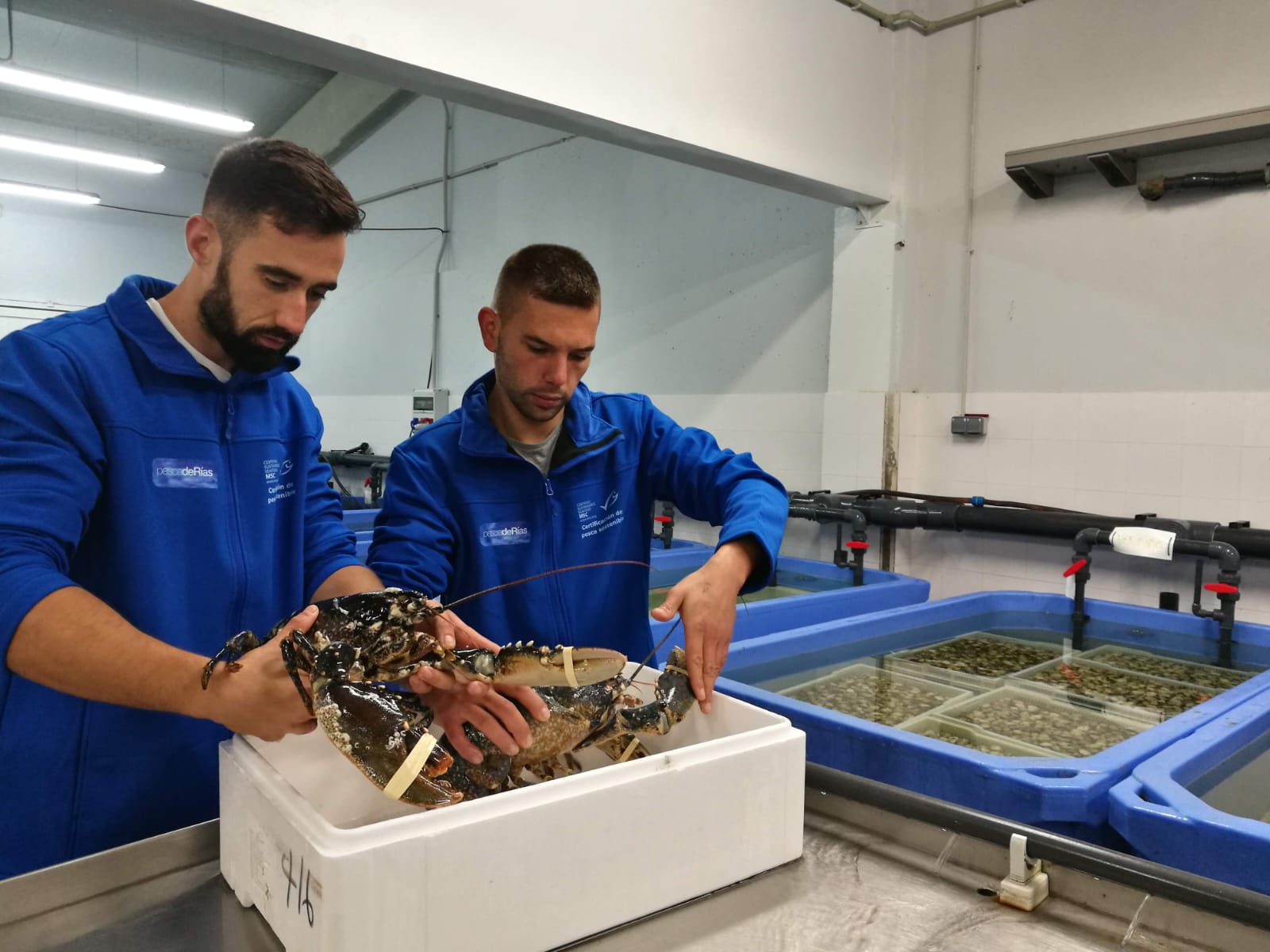 Cooperativa Ría de Arosa