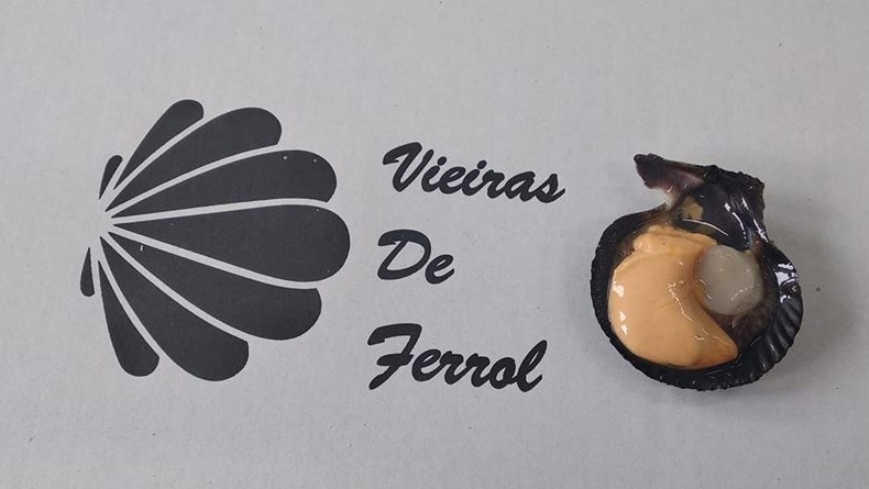 Vieiras de Ferrol, S.L.