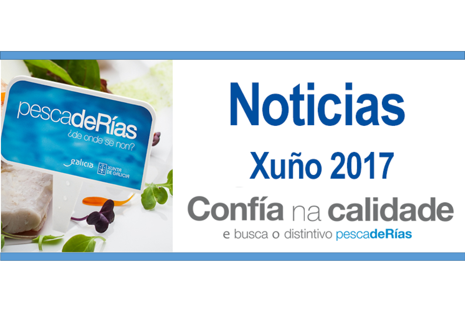 Boletín de noticias de xuño