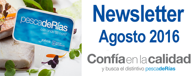 Newsletter Agosto
