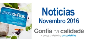 Boletín de noticias de novembro