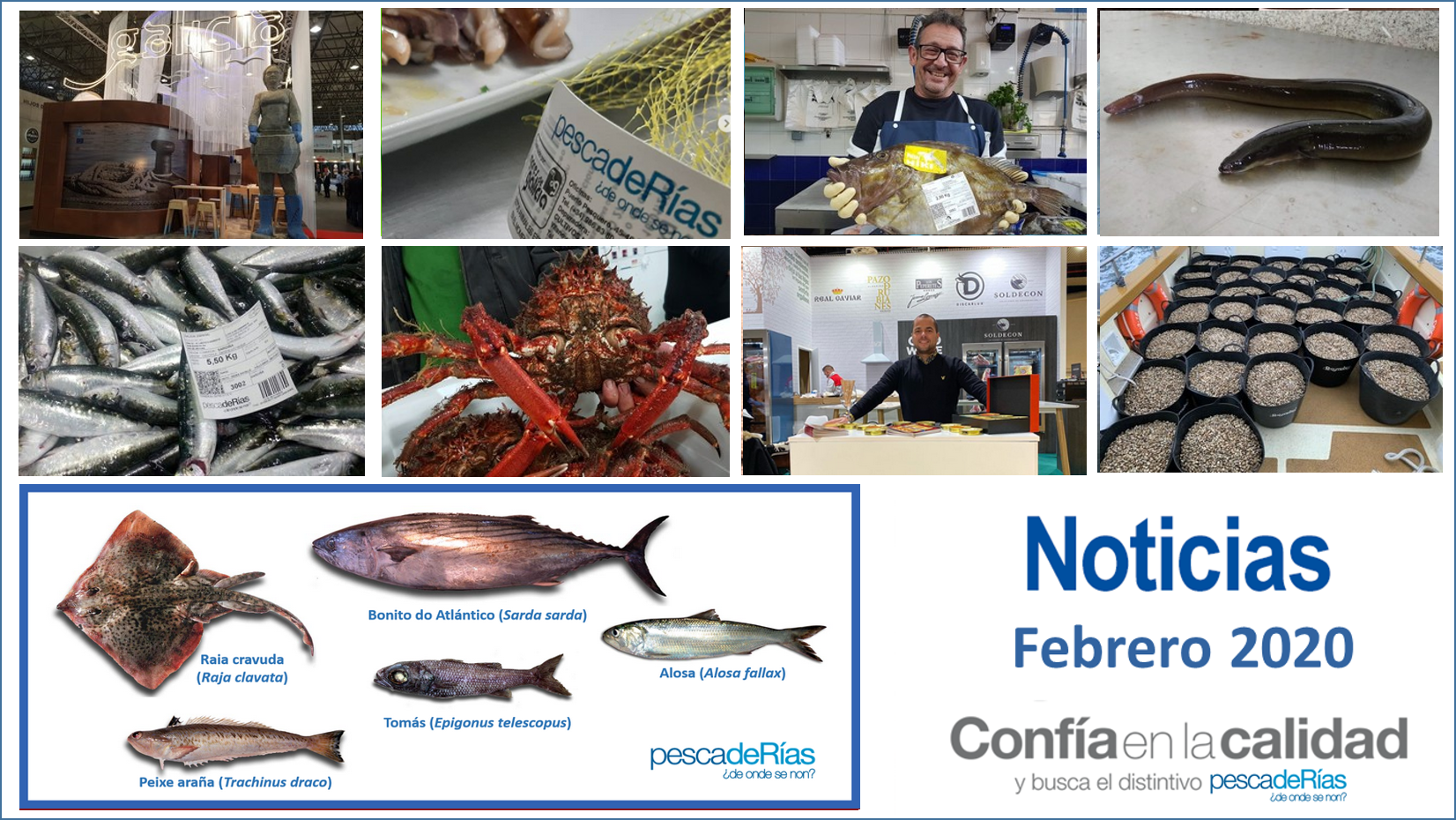 Boletín de noticias de febrero