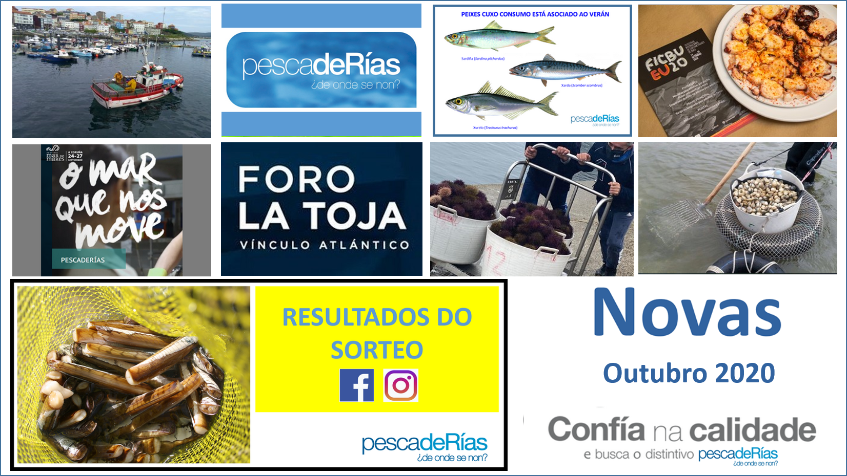 Boletín de noticias de outubro