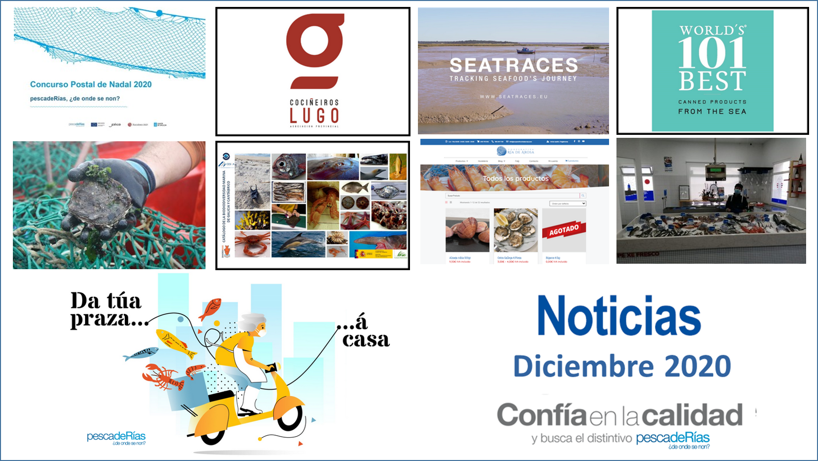 Boletín de noticias de diciembre de 2020