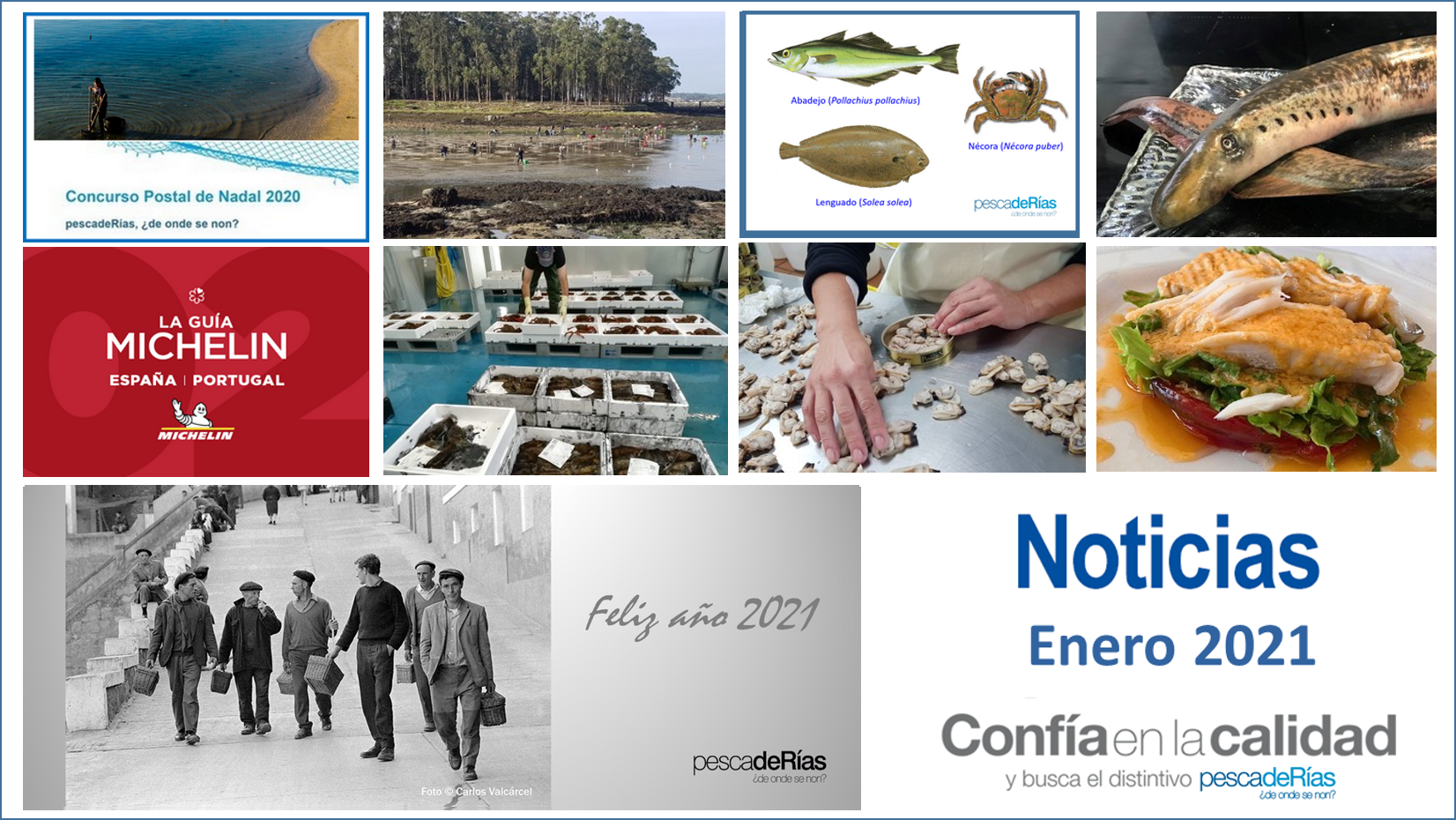 Boletín de noticias de enero de 2021