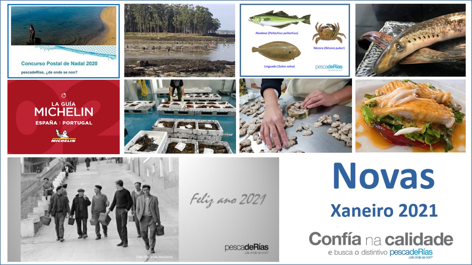 Boletín de novas de xaneiro de 2021