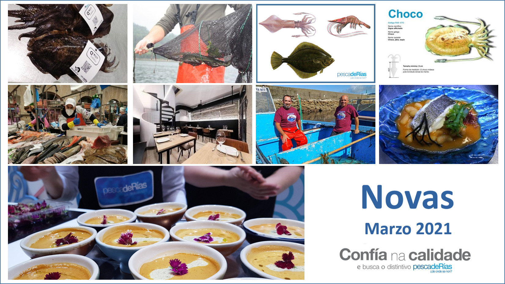 Boletín de novas de marzo de 2021