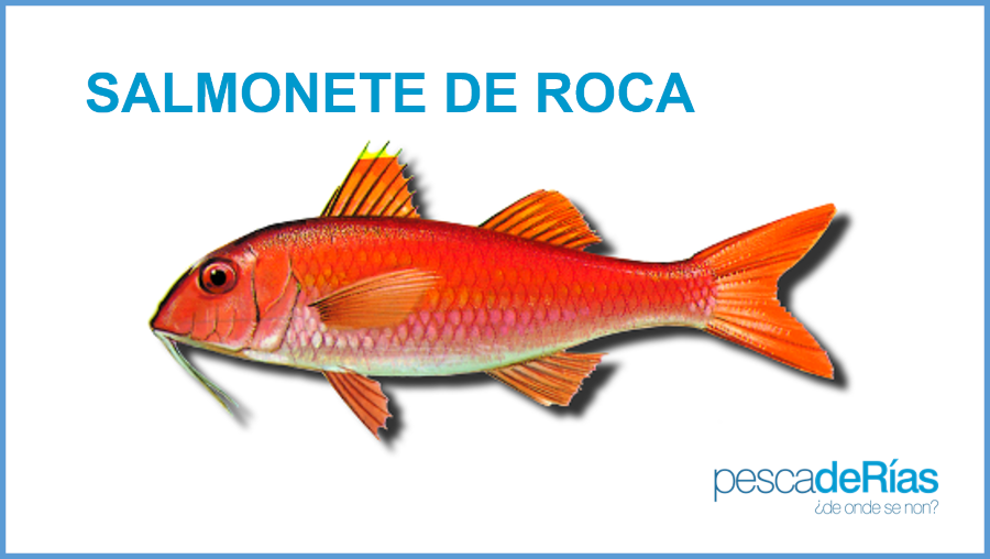 PescadeRias