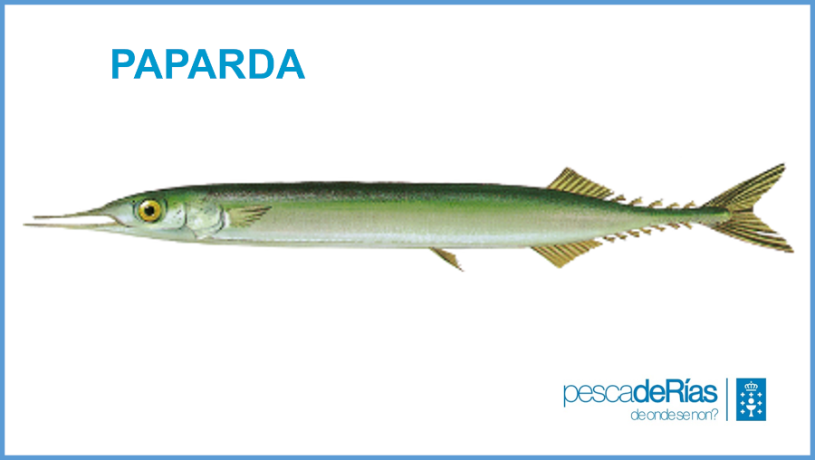 PescadeRias