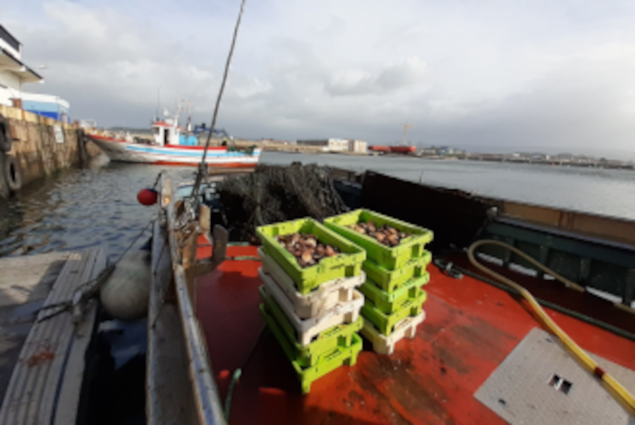 PescadeRias