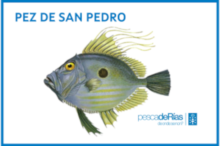 pescadeRias