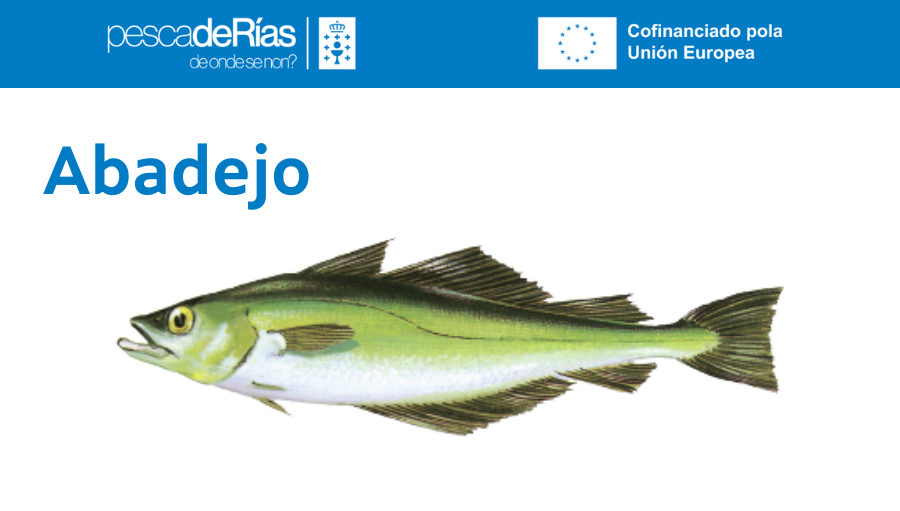 pescadeRias