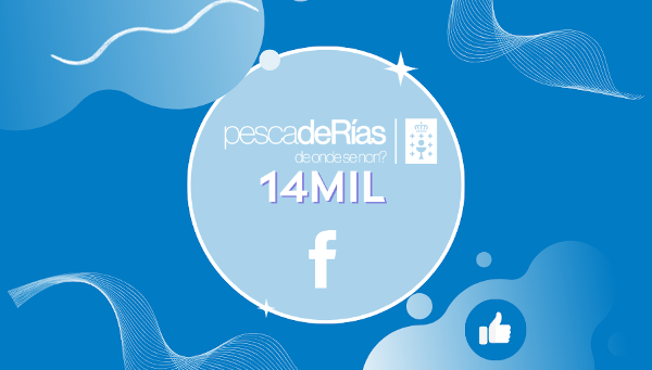 14 mil seguidores