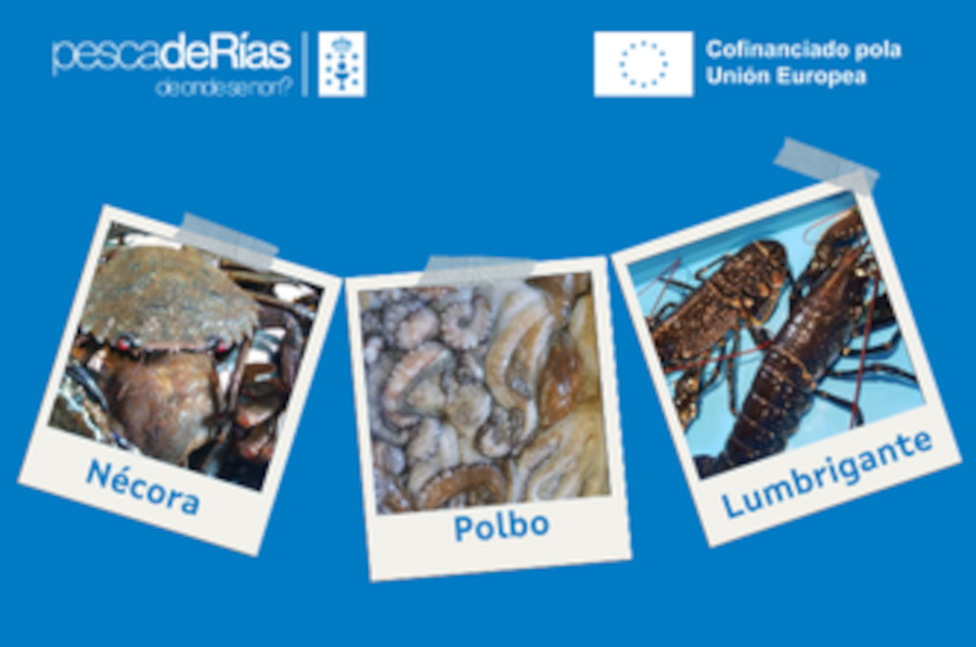 pescadeRias