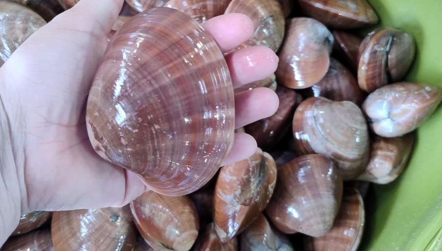 pescadeRias