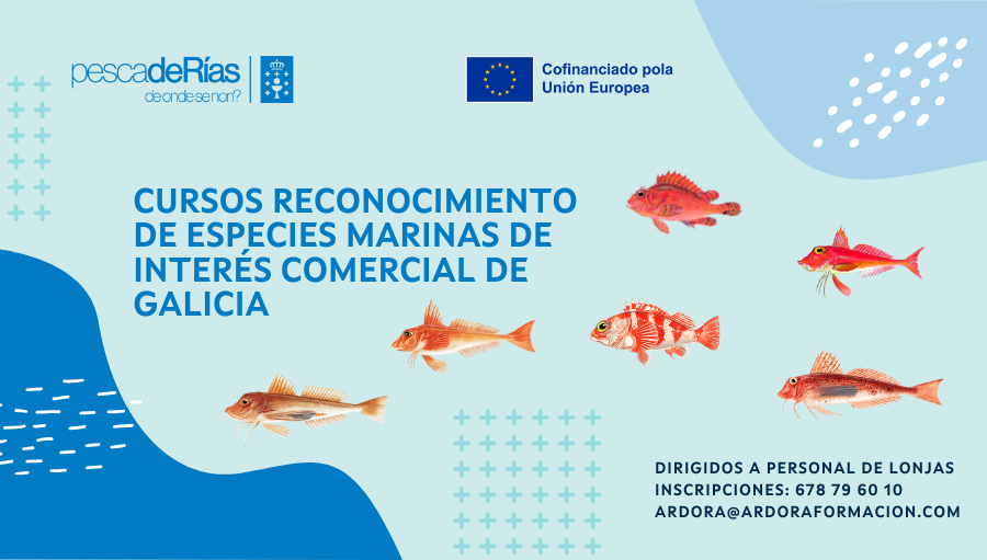 Formación en diferenciación de especies marinas