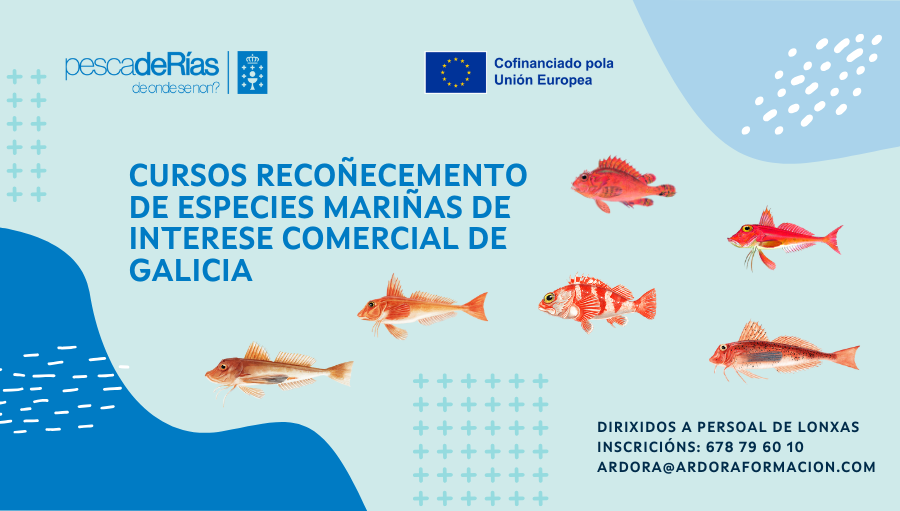 Formación en diferenciación de especies mariñas