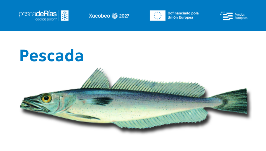 pescadeRias