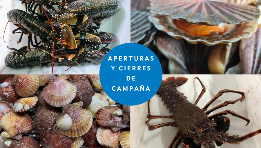 pescadeRias