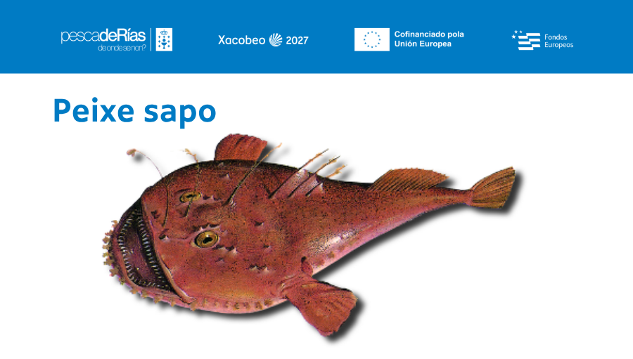 pescadeRias