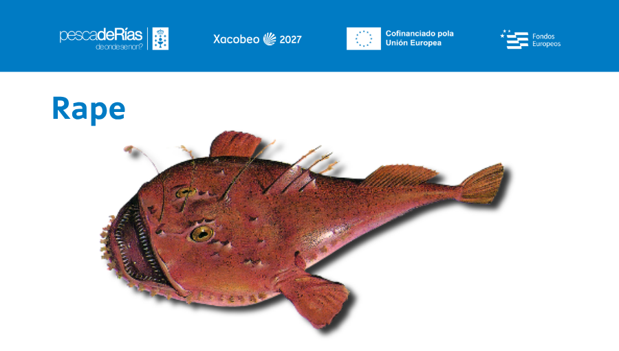 pescadeRias
