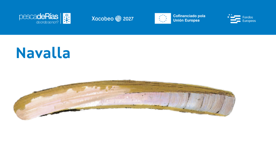 pescadeRias
