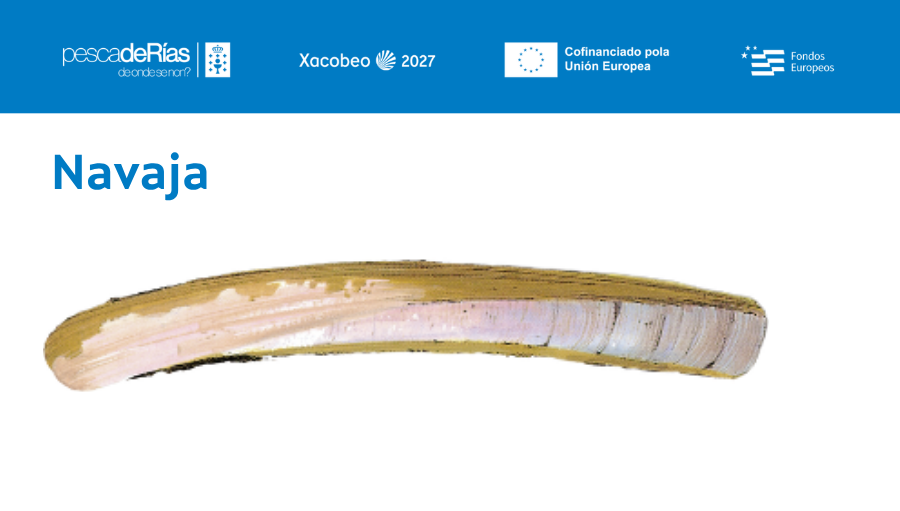pescadeRias