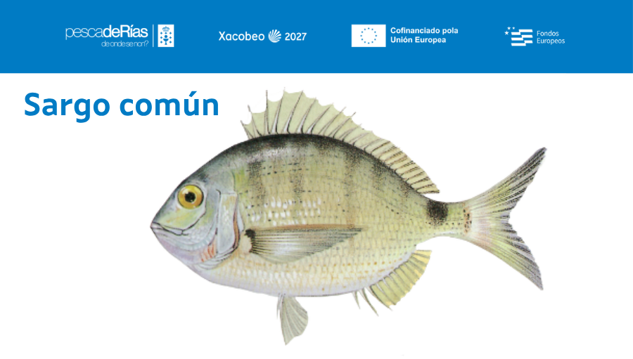 pescadeRias