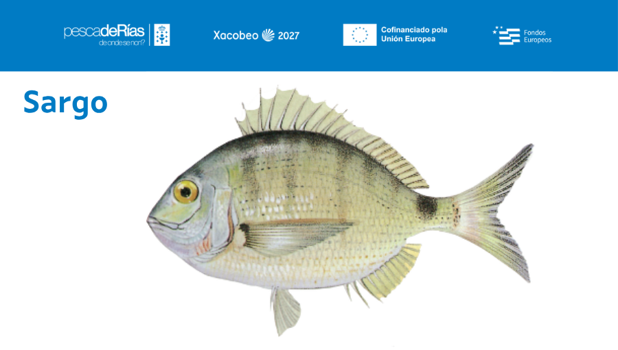 pescadeRias