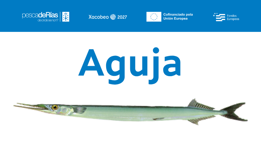 pescadeRias