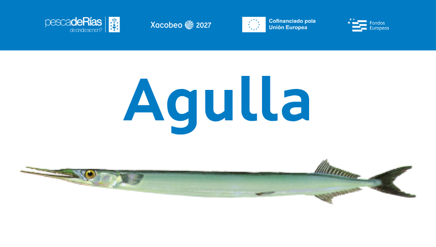 pescadeRias