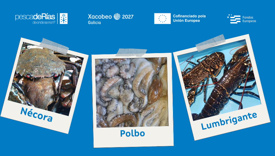 pescadeRias