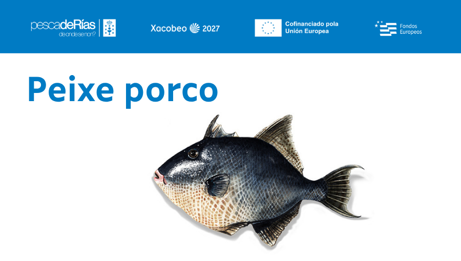 pescadeRias