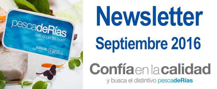 Newsletter Septiembre