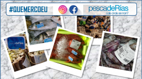 Campaña promocional en comercio minorista adherido. Mes de setembro: Pontevedra, Bueu, Santiago, Pontecesures e a Comarca do Barbanza. Campaña promocional en comercio minorista adherido. Mes de setembro: Pontevedra, Bueu, Santiago, Pontecesures e a Comarca do Barbanza.