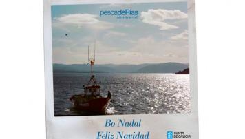 Bo Nadal 2016