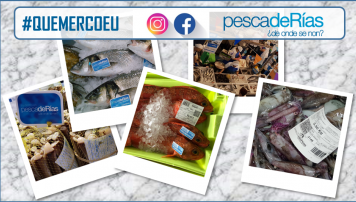 Inicio de campaña promocional en comercio minorista adherido. Mes de Julio: Noia, Serra de Outes, A Estrada, A Guarda y Tomiño.