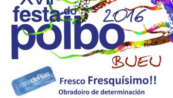 Festa do Polbo de Bueu 2016