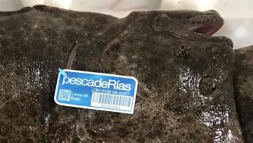Primeras etiquetas individuales en la Lonja de Bueu