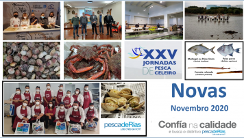 Boletín novembro 2020