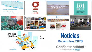 Boletín de noticias de diciembre de 2020