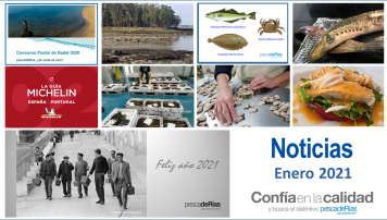 Boletín de noticias de enero de 2021