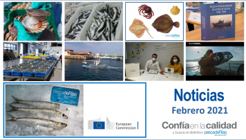Boletín de noticias de febrero
