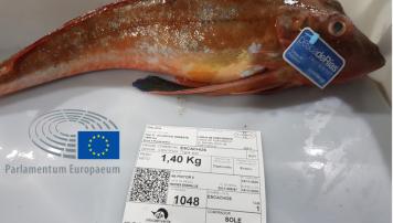 PescadeRías