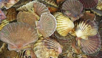 PescadeRías