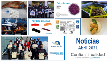 Boletín