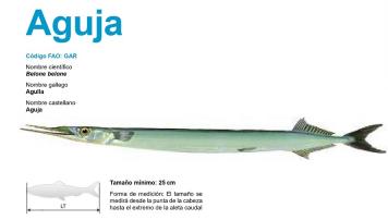 La aguja