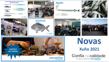 Boletín noticias