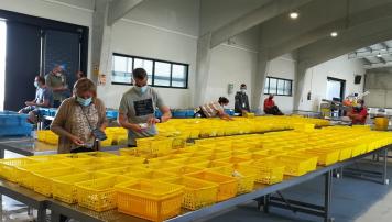 PescadeRías